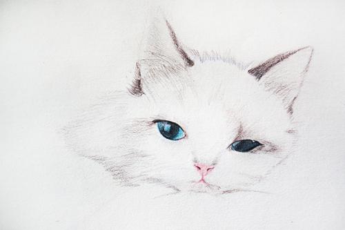 预防神经衰弱怎么做